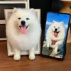 realistic wool felt pet portrait, wool felt cat, wool felt dog, half-body wool felt pet, pet head portrait wool felt, 3D wool felt animal, miniature wool felt pet, proportional wool felt pet, pet likeness reproduction, memorial wool felt pet