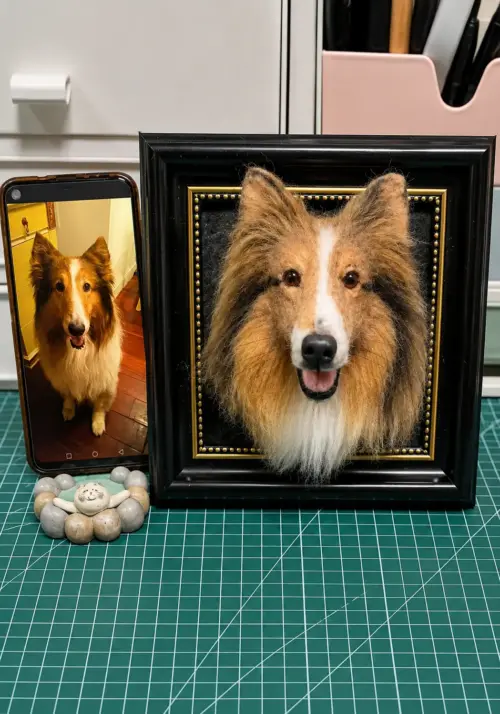 Handmade custom Sable and White Rough Collie wool felt portrait with realistic fur details.