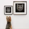 Premium 3D Hand Knife Carved Multi-Layer Acrylic Custom Dog & Cat Portrait Personalized Pet Memorial Wall Art